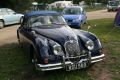 243a_jaguar.jpg