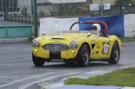 Austin Healey 3000 r. v. 1959